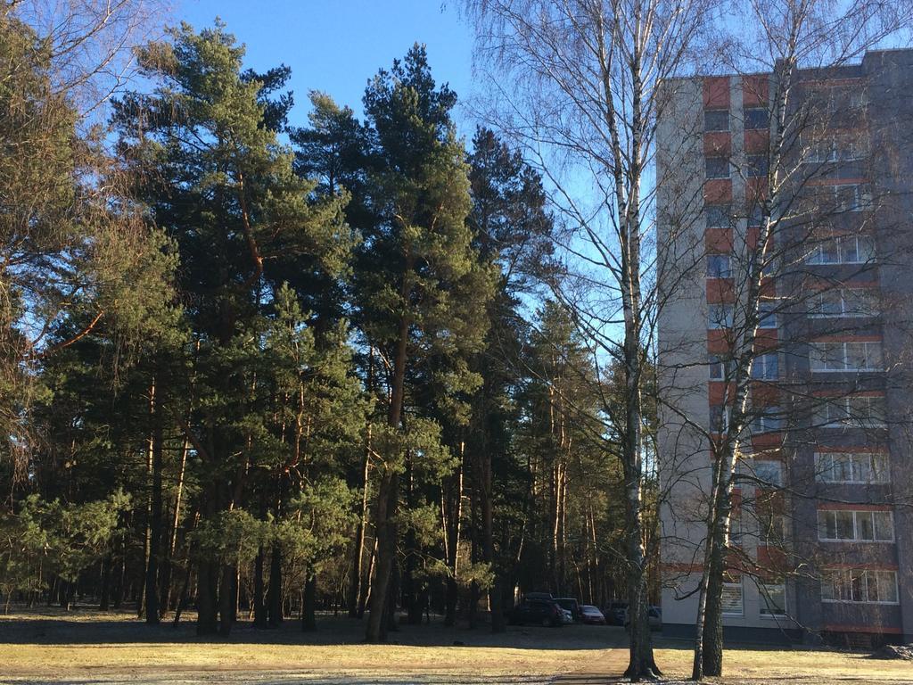 Angel Apartamento Druskininkai Exterior foto